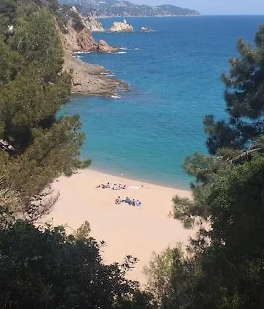 Alegre Apto Con Piscina, A 300m De La Playa. Blanes
