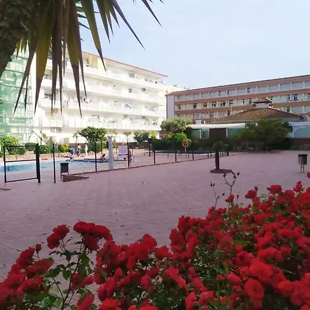 Alegre Apto Con Piscina, A 300m De La Playa. Apartment *
